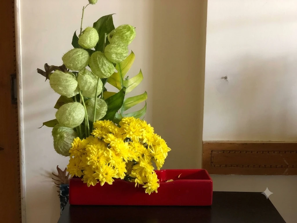 Green balloon-plant pods and yellow chrysanthemums in a red rectangular container