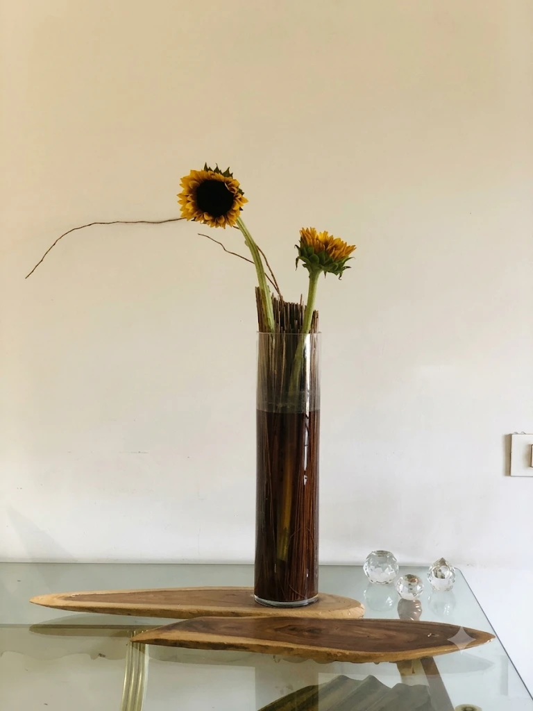 Two sunflowers rising from a tall glass cylinder packed with twigs